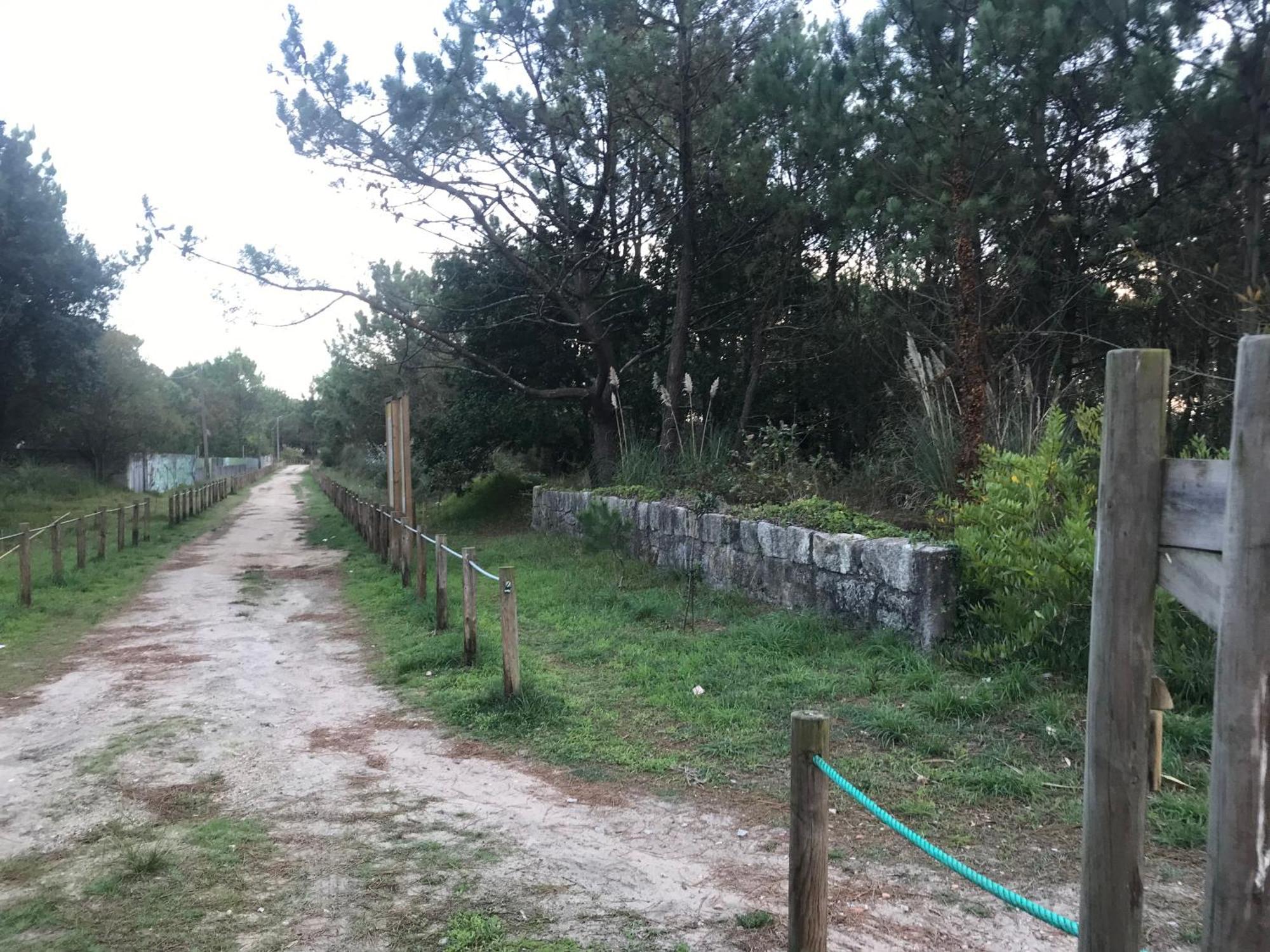 Arvore Cozy Com Jardim Árvore Exterior foto